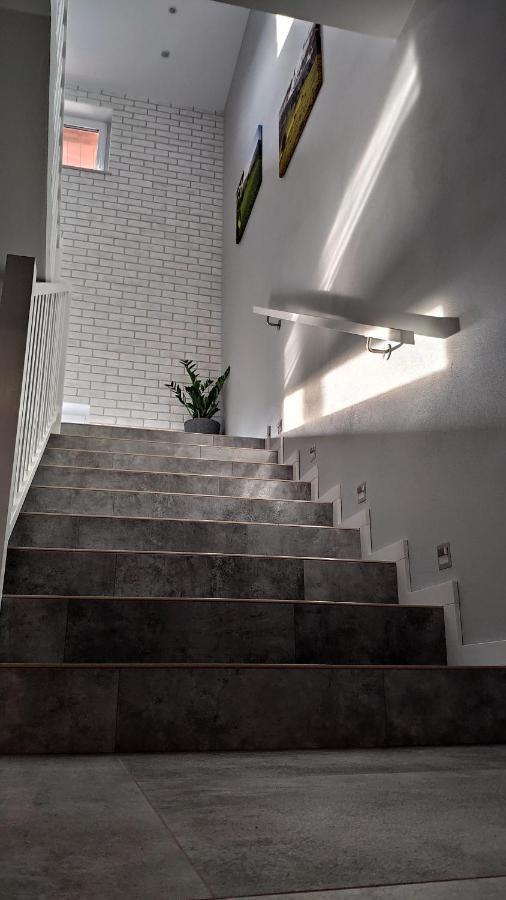 Apartamenty Szarotka ヴィスワ エクステリア 写真