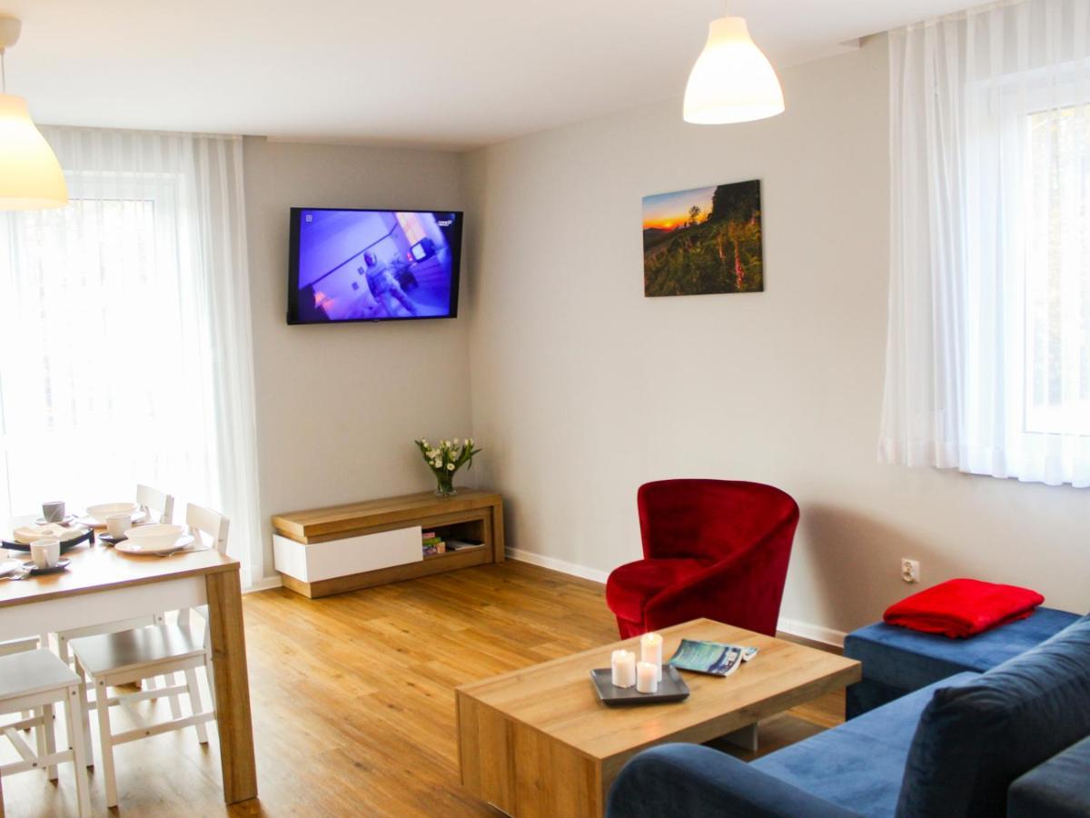 Apartamenty Szarotka ヴィスワ エクステリア 写真