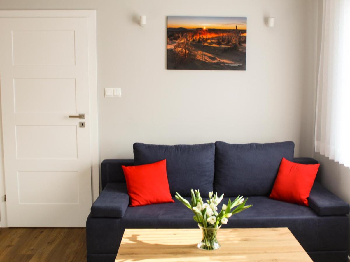 Apartamenty Szarotka ヴィスワ エクステリア 写真