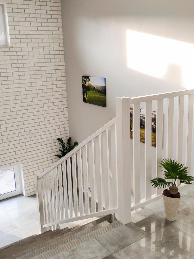 Apartamenty Szarotka ヴィスワ エクステリア 写真